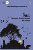 Cover for Pakel: Sinergitas, Tradisi Budaya dan Agama