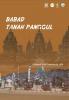Cover for BABAD TANAH PANGGUL 